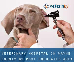 Veterinary Hospital in Wayne County by most populated area - page 1