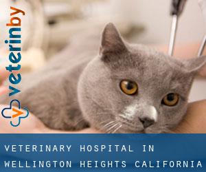 Veterinary Hospital in Wellington Heights (California) Veterinary Hospital in Wellington Heights (California)