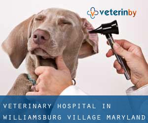 Veterinary Hospital in Williamsburg Village (Maryland)