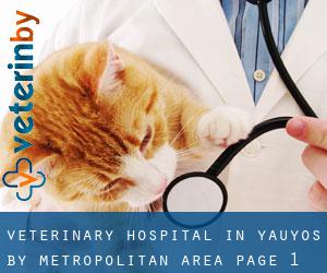 Veterinary Hospital in Yauyos by metropolitan area - page 1