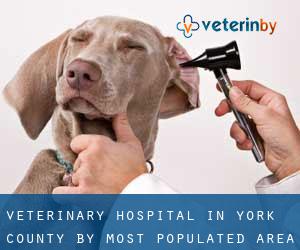 Veterinary Hospital in York County by most populated area - page 1