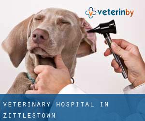 Veterinary Hospital in Zittlestown