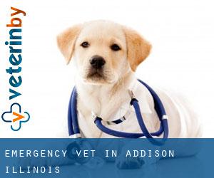 Emergency Vet in Addison (Illinois) Emergency Vet in Addison (Illinois)