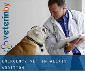 Emergency Vet in Alexis Addition
