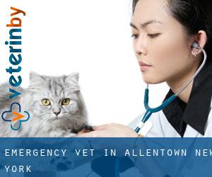 Emergency Vet in Allentown (New York)