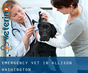 Emergency Vet in Allison (Washington)