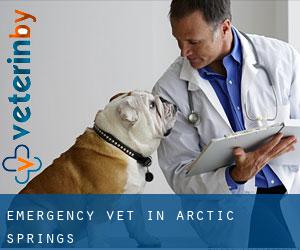 Emergency Vet in Arctic Springs