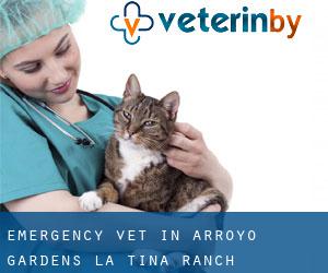 Emergency Vet in Arroyo Gardens-La Tina Ranch