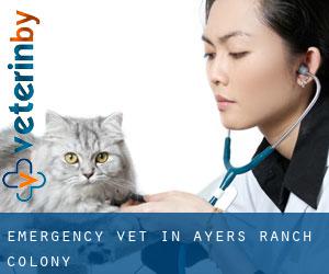 Emergency Vet in Ayers Ranch Colony