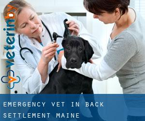 Emergency Vet in Back Settlement (Maine)