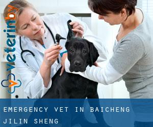 Emergency Vet in Baicheng (Jilin Sheng)
