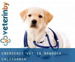 Emergency Vet in Bannock (California)