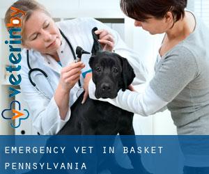 Emergency Vet in Basket (Pennsylvania)