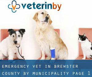 Emergency Vet in Brewster County by municipality - page 1