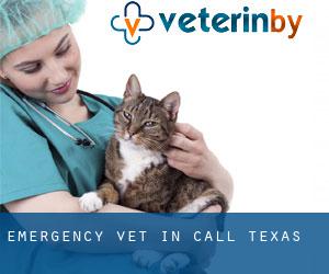 Emergency Vet in Call (Texas)