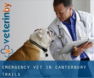 Emergency Vet in Canterbury Trails