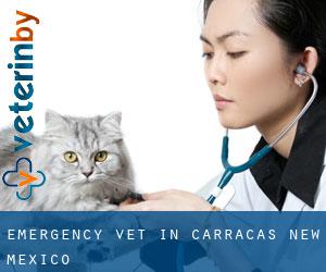 Emergency Vet in Carracas (New Mexico)