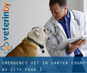 Emergency Vet in Carter County by city - page 1