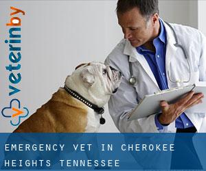 Emergency Vet in Cherokee Heights (Tennessee)