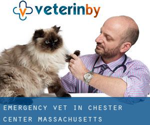 Emergency Vet in Chester Center (Massachusetts)