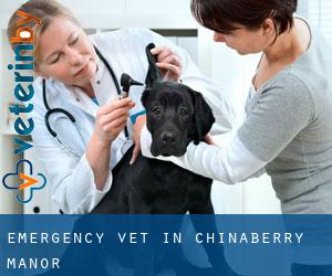 Emergency Vet in Chinaberry Manor