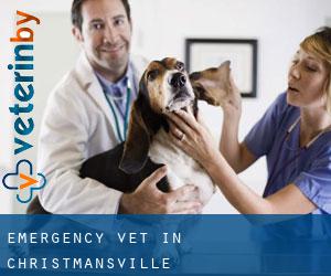Emergency Vet in Christmansville