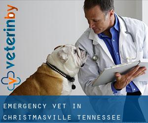 Emergency Vet in Christmasville (Tennessee)