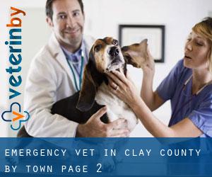Emergency Vet in Clay County by town - page 2