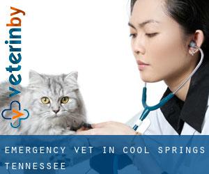 Emergency Vet in Cool Springs (Tennessee)