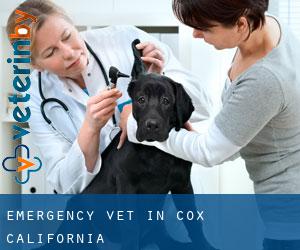 Emergency Vet in Cox (California)