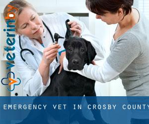 Emergency Vet in Crosby County
