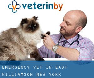 Emergency Vet in East Williamson (New York)