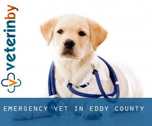 Emergency Vet in Eddy County Emergency Vet in Eddy County