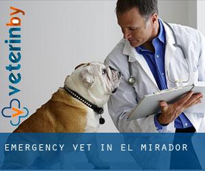 Emergency Vet in El Mirador