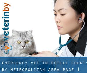 Emergency Vet in Estill County by metropolitan area - page 1
