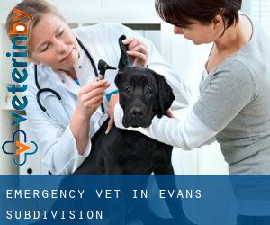 Emergency Vet in Evans Subdivision