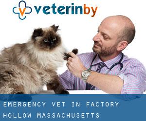 Emergency Vet in Factory Hollow (Massachusetts)