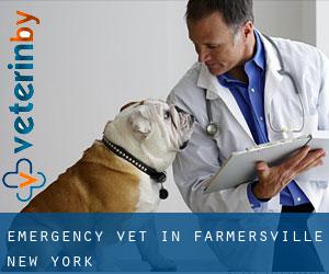 Emergency Vet in Farmersville (New York)