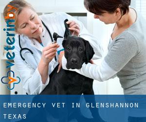 Emergency Vet in Glenshannon (Texas)