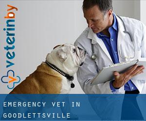 Emergency Vet in Goodlettsville