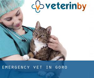 Emergency Vet in Goro