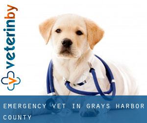 Emergency Vet in Grays Harbor County Emergency Vet in Grays Harbor County