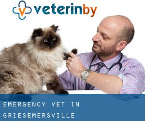 Emergency Vet in Griesemersville