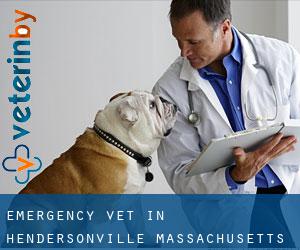Emergency Vet in Hendersonville (Massachusetts)