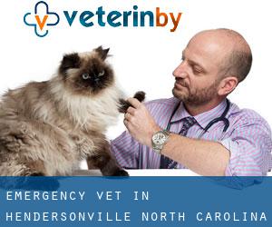 Emergency Vet in Hendersonville (North Carolina)