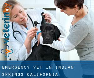 Emergency Vet in Indian Springs (California)