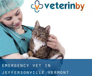 Emergency Vet in Jeffersonville (Vermont)