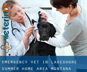 Emergency Vet in Lakeshore Summer Home Area (Montana)