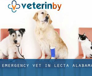 Emergency Vet in Lecta (Alabama)