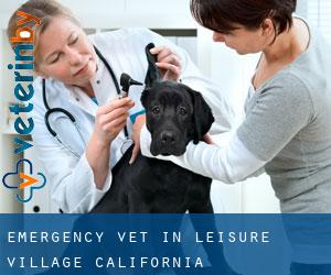 Emergency Vet in Leisure Village (California)